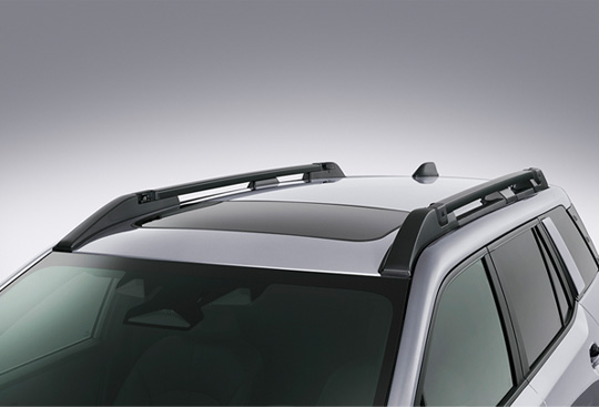 <sg-lang1>Roof Rails</sg-lang1><sg-lang2></sg-lang2><sg-lang3></sg-lang3>
