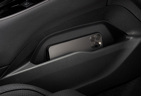 Centre Console Side Pocket (passenger's side)