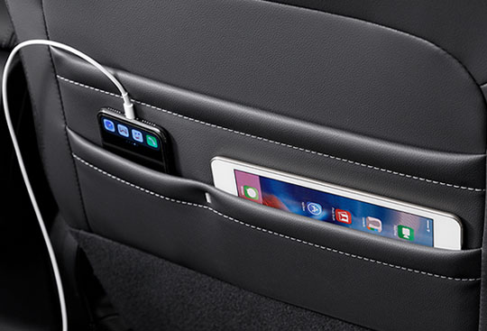 Divided Seatback Pockets*³